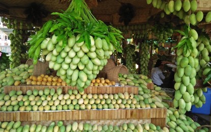 <p><strong>ALL ABOUT MANGOES.</strong> The 26<sup>th</sup> Manggahan Festival of Guimaras features  the sought-after mango products of the province in the Agri-Trade and Tourism that opened at the provincial capitol grounds on Friday (May 11, 2018).<em> (Photo by Perla Lena) </em></p>